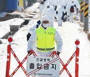 남원 육용오리 농장서 조류인플루엔자 항원 검출