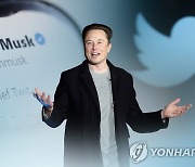 머스크 "트위터, 당장 파산 위험은 없지만 안전하진 않아"