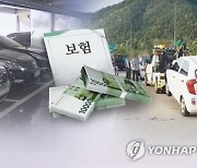 차사고 경상환자 고액치료비, 과실비율대로 낸다