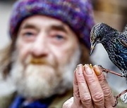 GERMANY BIRDS STARLINGS