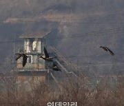 [포토]'마주본 남북 초소'