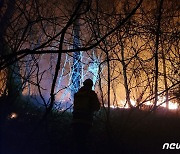 강원 양양군 산불…산불진화대원 117명 투입