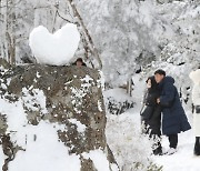 [오늘의 날씨] 제주(27일, 화)…흐리다 구름 많음, 도로 결빙 주의