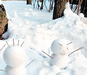 눈사람과 눈오리[고양이 눈]