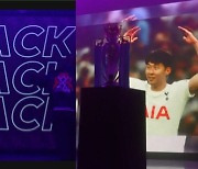 '중독성 甲' 잉글랜드 강타한 'EPL IS BACK!', 찰칵 손흥민 등장