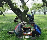 “나무 치료에도 처방전이 필요해요”···2030 관심 커지는 ‘나무의사’ 직종