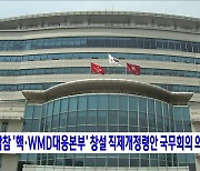 합참 '핵·WMD대응본부' 창설 직제개정령안 국무회의 의결