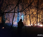 양양 산불 1시간30분만에 진화…산림 0.25ha 소실