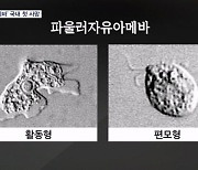 '뇌 먹는 아메바' 국내 첫 사망…태국 체류 50대 10일 만에