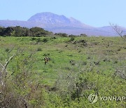 ‘제주 사랑’ 기부하면…고사리·감귤·갈치에 관광체험까지