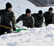 폭설로 내려앉은 하우스 눈 치우는 軍 장병