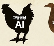 전남 나주 오리농장 AI 항원 검출