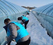 전남·북 폭설피해 588동 28.5㏊…농식품부 “피해복구 총력”