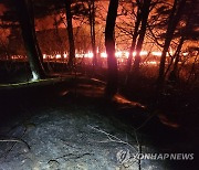 양양서 폐기물 소각장 화재 산불로 번져