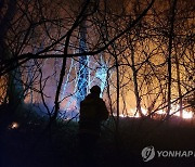 양양서 폐기물 소각장 화재 산불로 번져…1시간 반만에 진화