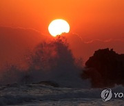 해야 솟아라