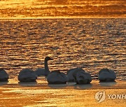 이제 하루를 시작할 시간