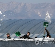 폭설 피해 농가 복구작업에 나선 장병들