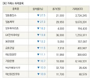 [fnRASSI]장마감, 거래소 하락 종목(일동홀딩스 -27.5% ↓)