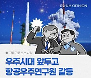 [그림사설] 우주시대 앞두고 항우연 내분? 정부 리더십 보여야