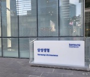 금감원 삼성생명에 “유배당 계약자 배당금 부채로 분류 가능해”