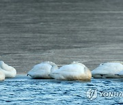 수도권에 눈 날림…서울 낮 최고 -2도