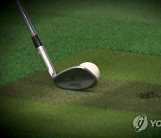 지인에 마약류 먹이고 '내기 골프'…3천만원 뜯은 일당 징역 2년