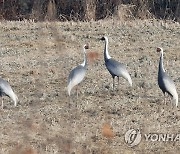 2027년까지 습지보호지역 5.8% 늘어난다