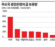 [BOK포커스]"내년 금값 오른다"…한은, 10년만에 매입 나설까