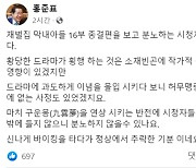 '재벌집' 결말에 홍준표 뿔났다…"신나게 바이킹 타다 추락한 기분"