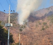 부산 강서구 봉화산 불…대응 1단계 발령