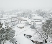 21세기 말 제주에서 겨울이 사라진다