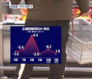 내년 생필품 가격 더 오른다…고물가·고금리에 소비 -1.8% 뚝