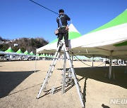 삼척대게축제 31일 이사부광장서 개막