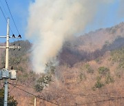 부산 강서구 봉화산에서 불…임야 2만㎡ 소실(종합)