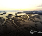 해수부, 고흥갯벌 습지보호지역 신규 지정