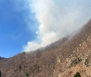 부산 강서구서 산불…산림 당국 진화 중