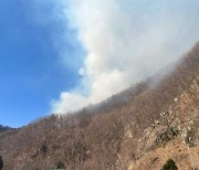 부산 강서구 봉화산 화재…3시간여 만에 불길 잡아(종합)