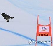 Italy Alpine Skiing World Cup