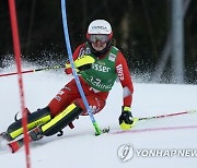 Austria Alpine Skiing World Cup