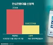 '흥행 실패' 안심전환대출…특례보금자리론 운명은