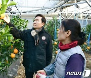 한라봉 수확농가 찾은 이남철 고령군수