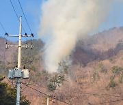 부산 강서구 봉화산 불 하루 만에 완진…임야 2ha 소실