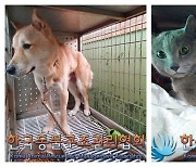 '택시기사·동거녀 살해' 이기영 집서 반려동물 4마리 구조…곧 입양공고