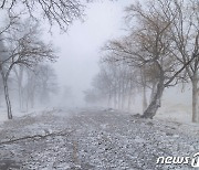 '겨울왕국' 캐나다 이리 호수