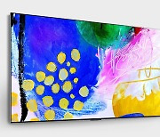 LG전자 OLED TV, 소비자원 성능평가서 최고 평가