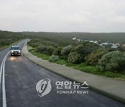 부모 사망한 사고차서 아이들 셋 생존…5살 첫째가 살렸다