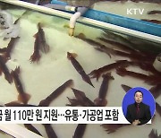 수산물 유통·가공업 종사 청년도 정착지원금 받는다!