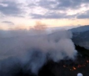 바짝마른 동해안…경산·영천·영주 야산서 불