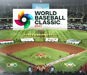 내년 WBC서 한국 야구 우승 배당 16배…일본은 5.5배